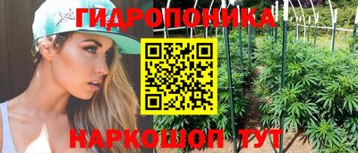 mdpv Дубна